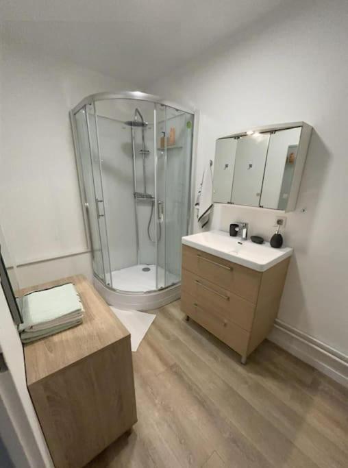 T3 Pied De La Gare + Centre Commercial Tout Inclus Орлеан Экстерьер фото